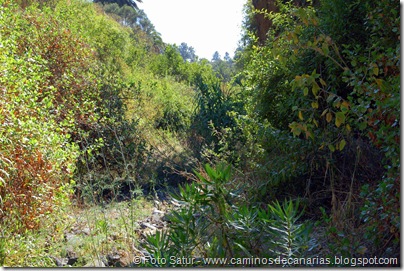 6417 Santa Brígida-Hoya Chiquita 6417 Santa Brígida-Hoya Chiquita