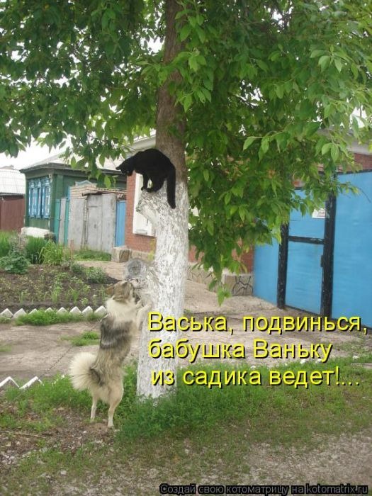 [clip_image040%255B3%255D.jpg]