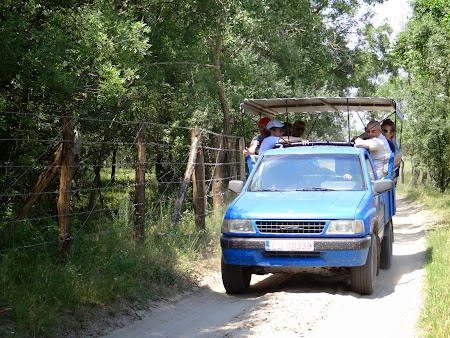 08. Masina de safari - Letea.JPG