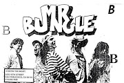 Mr. Bungle