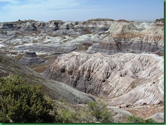 Painted Desert & Petrified Forest 238