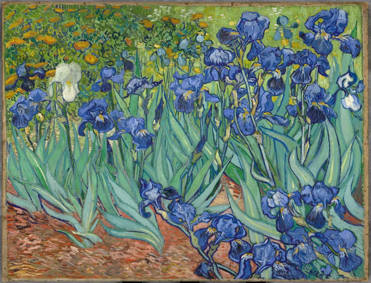 irises-Van-Gogh-Getty-Los-Angeles - "Irises" (1889), the oil painting by Vincent van Gogh, can be viewed at the Getty Museum in Los Angeles.