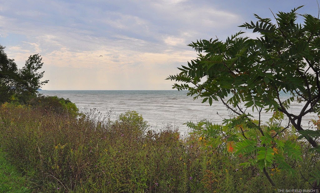 [DSC_0022%255B4%255D.jpg]