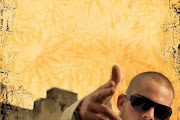 Collie Buddz