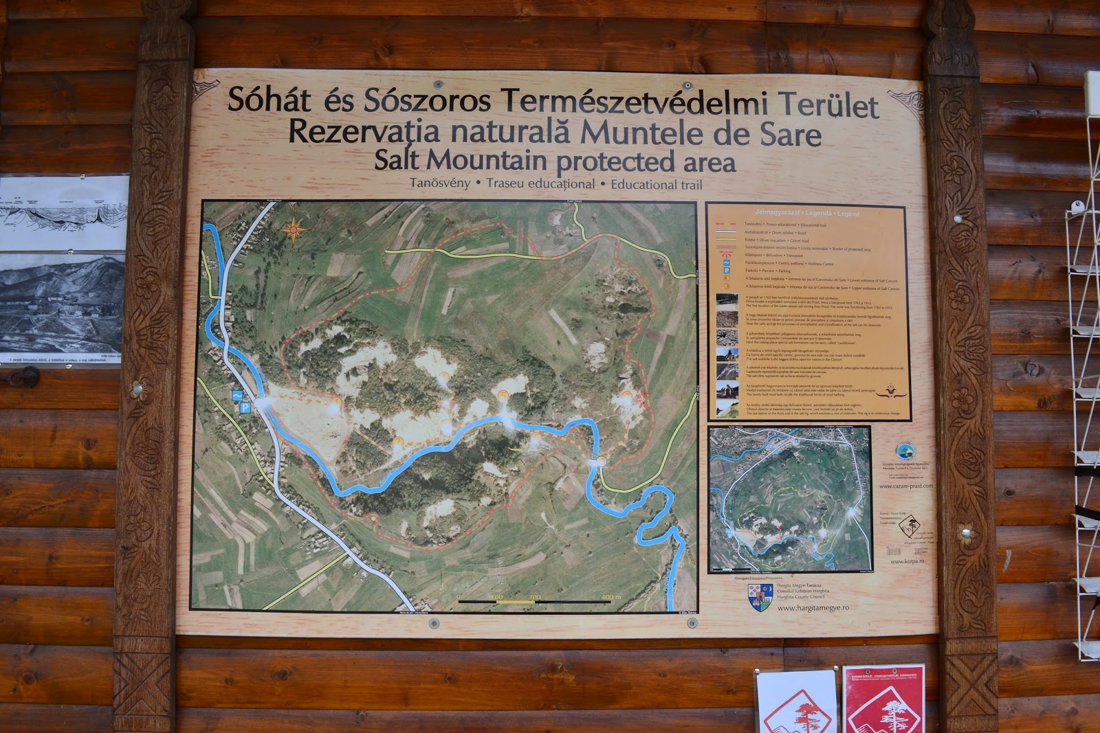 [DSC_25524.jpg]