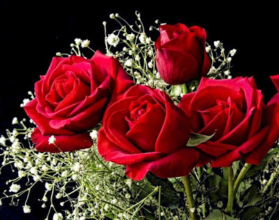 buque-rosas-vermelhas_thumb%5B1%5D.jpg
