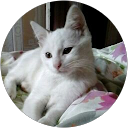 Image Google de Salomé Leroy