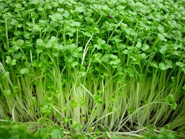 [clip_image002%255B4%255D.jpg]