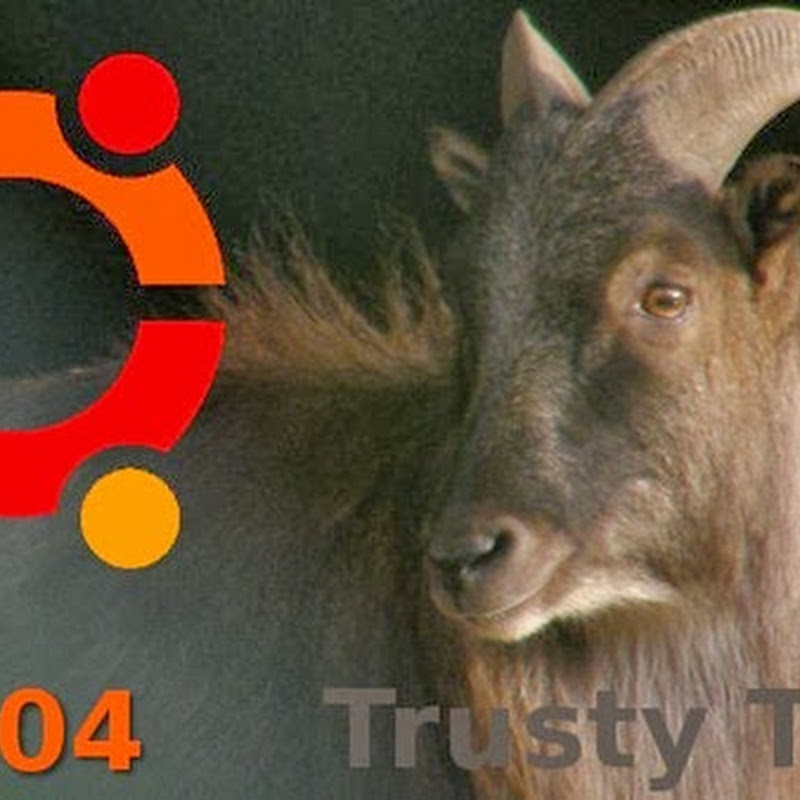 I 10 articoli piu cliccati nel Regno di Ubuntu nel mese di Dicembre 2013.