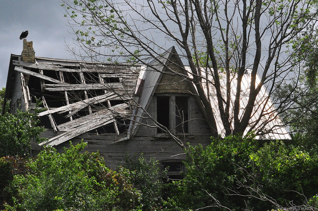 [DSC_0043%255B5%255D.jpg]