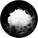 erikaeyes77 . profile picture