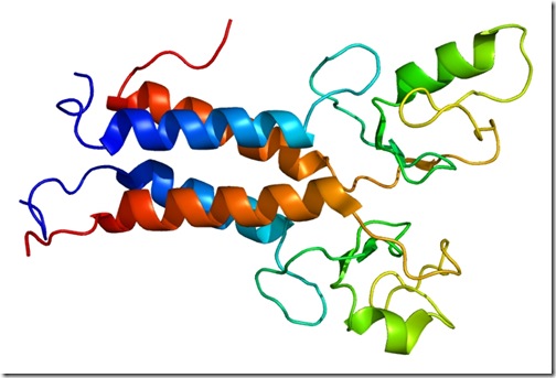 protein_brca1