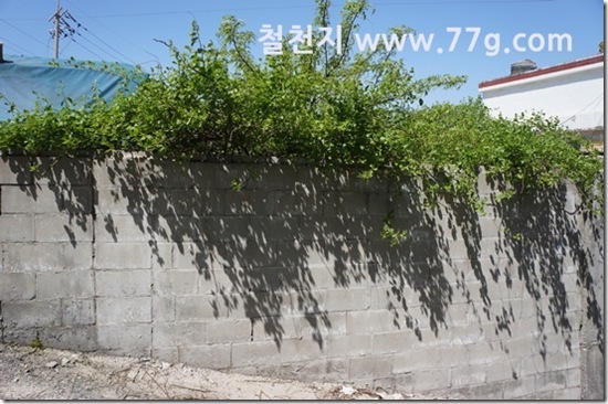 77gDSC01294-20130516-140523