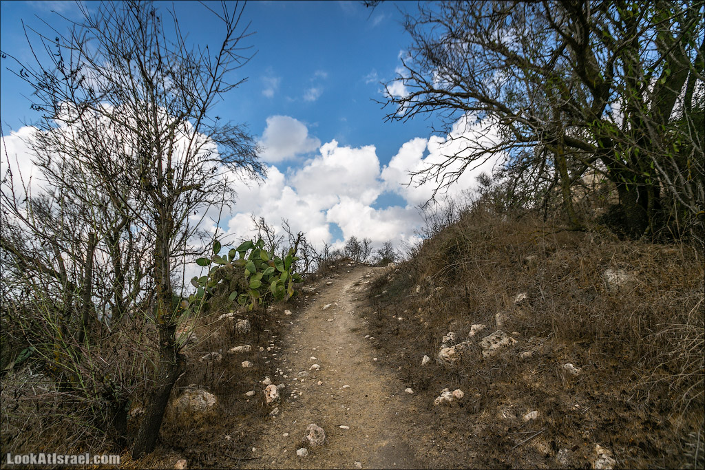 LookAtIsrael.com - Фото путешествия по Израилю | Крепость Бельмонт в кибуце Цуба | Belmont fortress