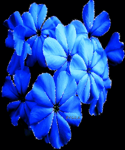 Lu.Animation20110918-123608.png