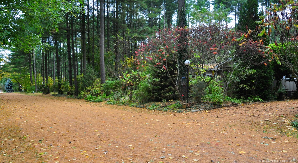 [DSC_0003%255B4%255D.jpg]