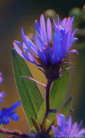 [DSC_0002-1%255B14%255D.jpg]