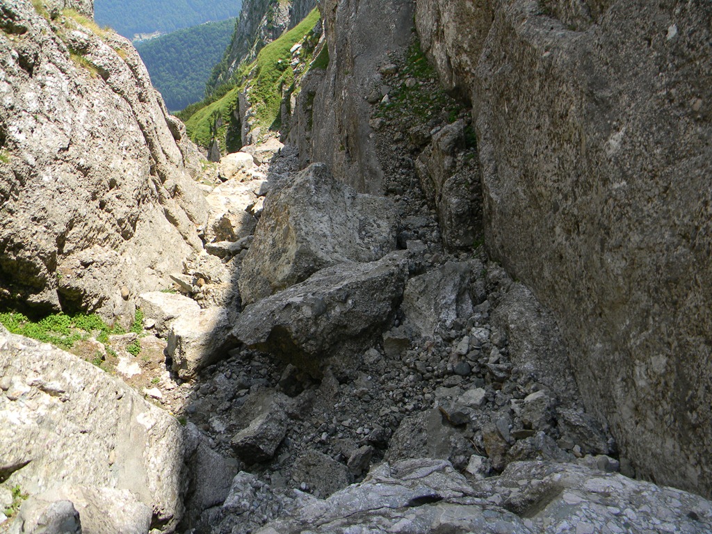 [DSCN33093.jpg]