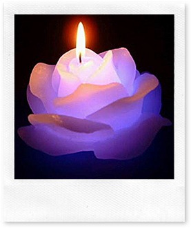 dreaming rose candle