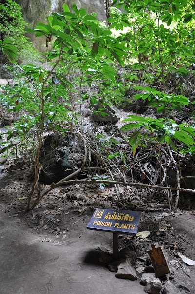 DSC_0644.JPG
