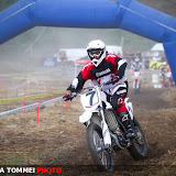 By Alessandra Tommei