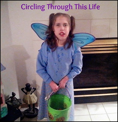 The Blue Fairy ~ Random Thoughts from Circling Through This Life