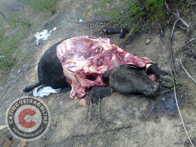 [18042012273%255B2%255D.jpg"]