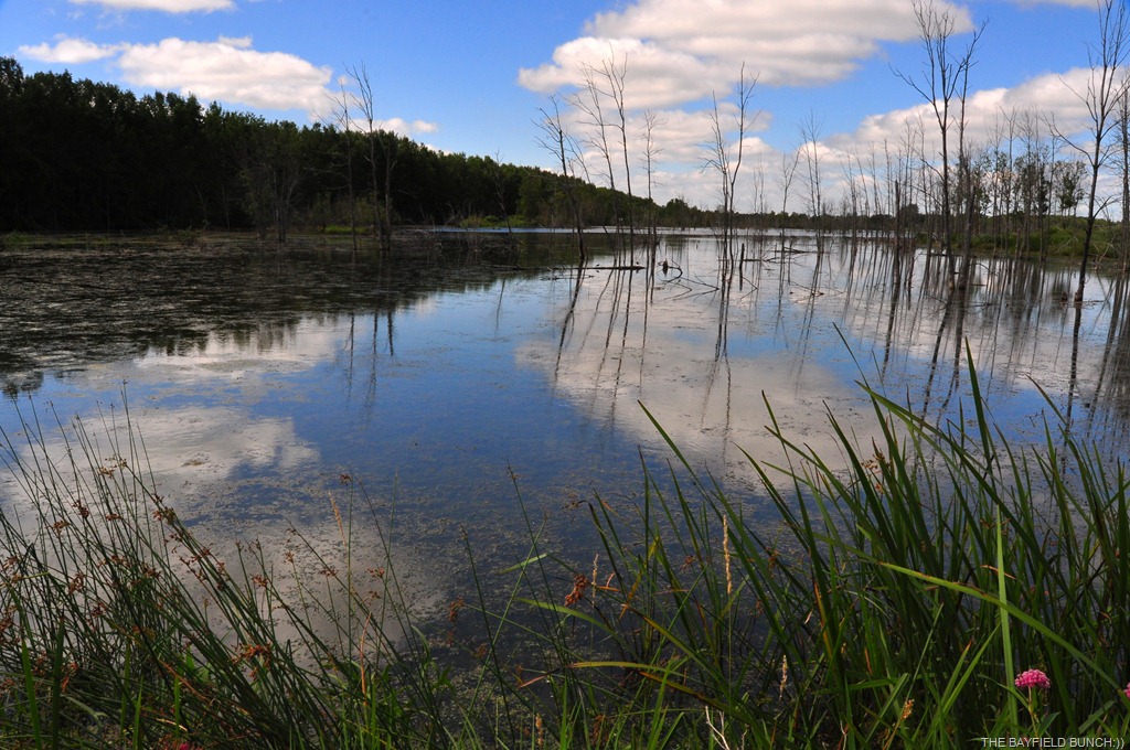 [DSC_0016%255B9%255D.jpg]