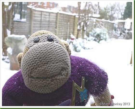 Snow hits UK jan 2013