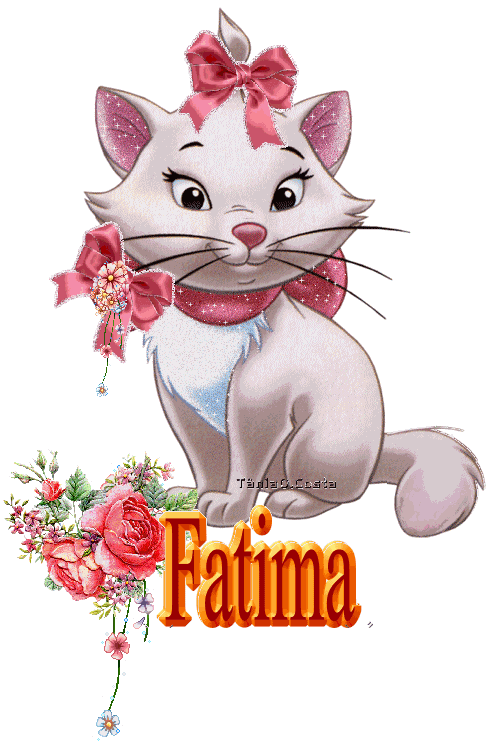 taniaocosta%20GAto.png