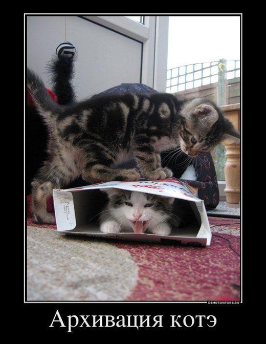 [Demotivators_37%255B3%255D.jpg]