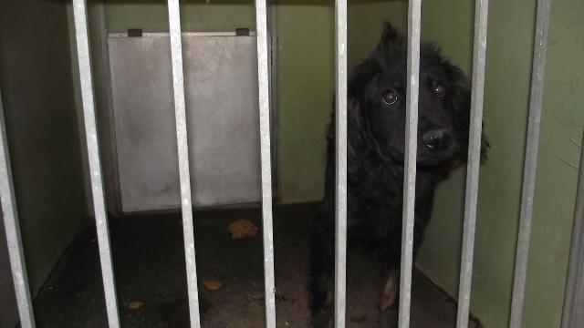 DSCF3642.JPG