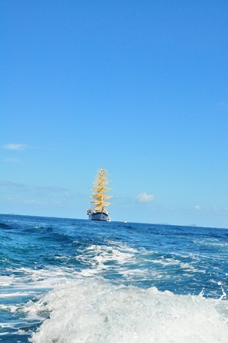 [DSC_0236%255B3%255D.jpg]