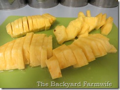 fresh pineapple sorbet - The Backyard Farmwife