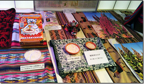 Semillas, harina y hermosas fotografías de quinua sobre textiles andinos-Noriko.Obata