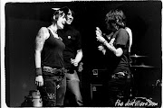 The Distillers