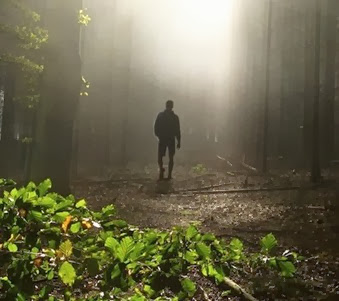 man-walking-in-forest-flickr-h.koppdelaney