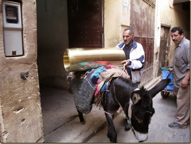 donkey transport