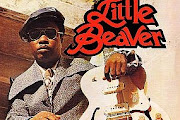 Little Beaver
