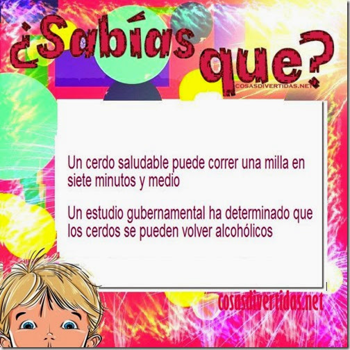 curiosidades cosasdivertidas net 1 curiosidades cosasdivertidas net 1
