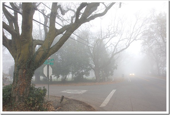 111220_fog_intersection