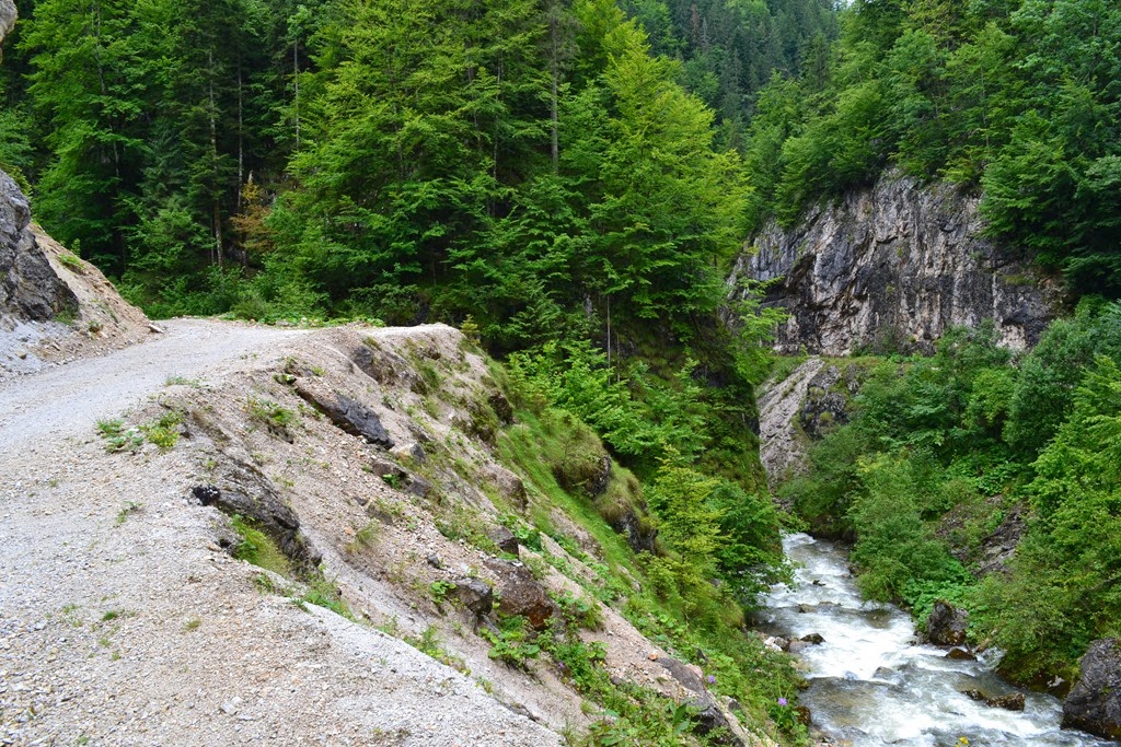 [DSC_04183.jpg]