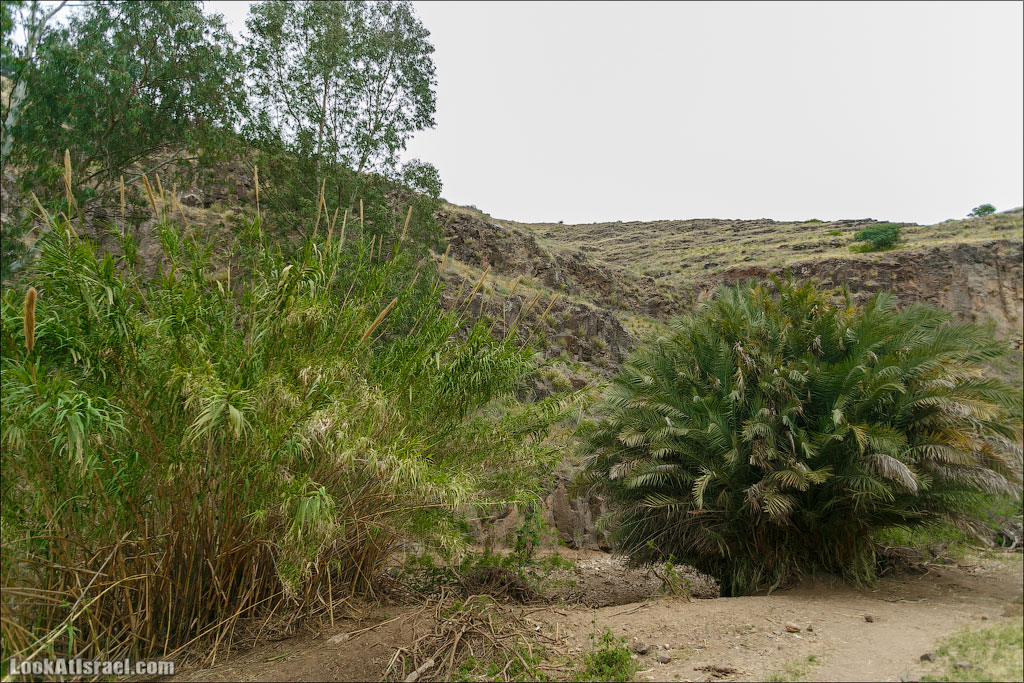 LookAtIsrael.com: Фото-блог о путешествиях по Израилю. Тель Авив, Иерусалим, Хайфа 