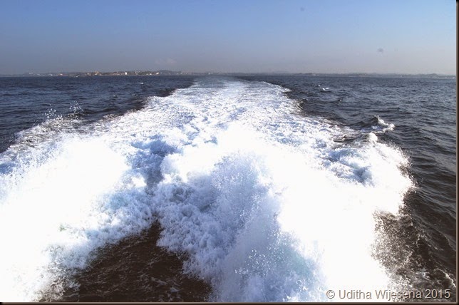DSC_0406 DSC_0406