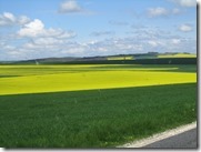 IMG_6637 IMG_6637