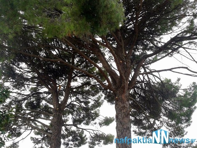 2012-01-01 13.25.24.jpg