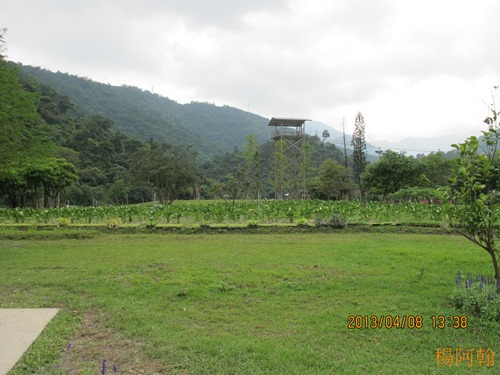 2013 綠色博覽會 - 180