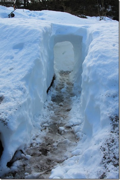 1-snow-tunnel