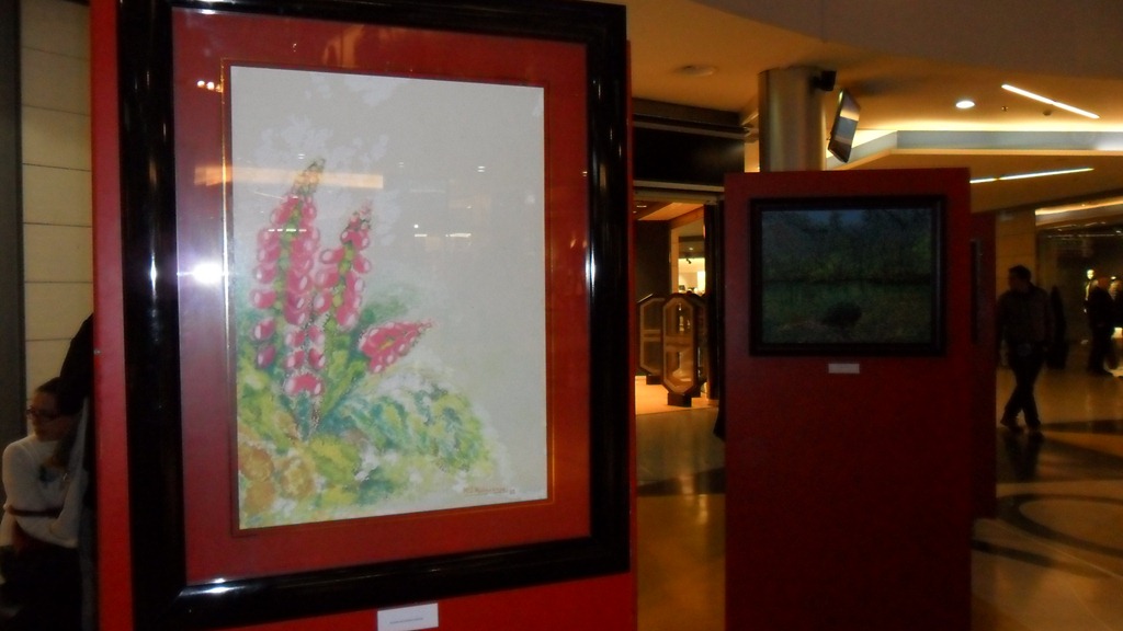 [SAM_4026%255B4%255D.jpg]