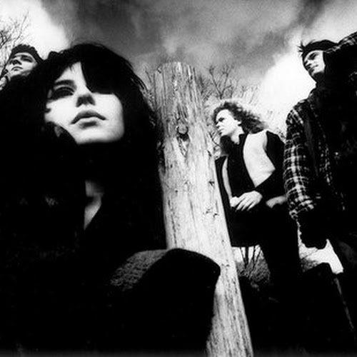 Bobo In White Wooden Houses